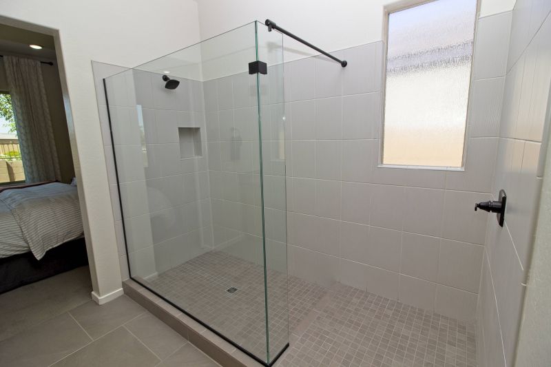 Modern Shower with Accent Tile