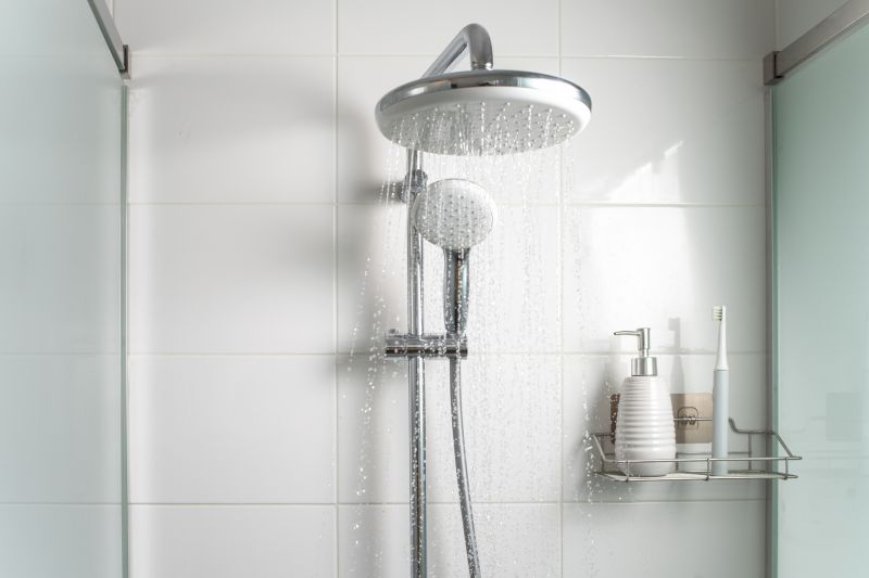 Modern Shower with Chrome Fixtures